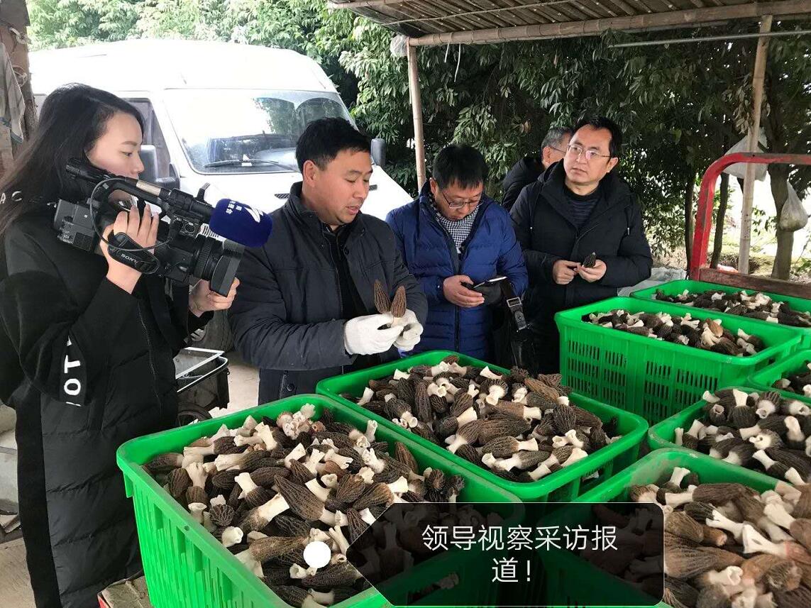 &#66;&#20307;&#32946;&#65288;&#66;&#83;&#112;&#111;&#114;&#116;&#115;&#65289;&#23448;&#26041;&#32593;&#31449;
